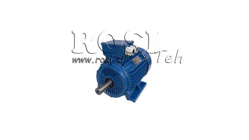 ELECTRIC MOTOR 2P B3 3F legs