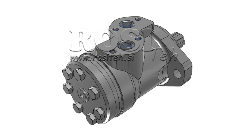 MOTORE IDRAULICO MP 100 cc - 6 CAVE