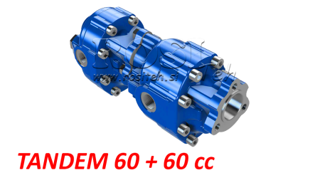 HYDRAULISCHE TANDEMPUMPE AUS GUSSEISEN 60 + 60cc 200 bar (REVERSIEBEL)