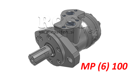 MOTORE IDRAULICO MP 100 cc - 6 CAVE