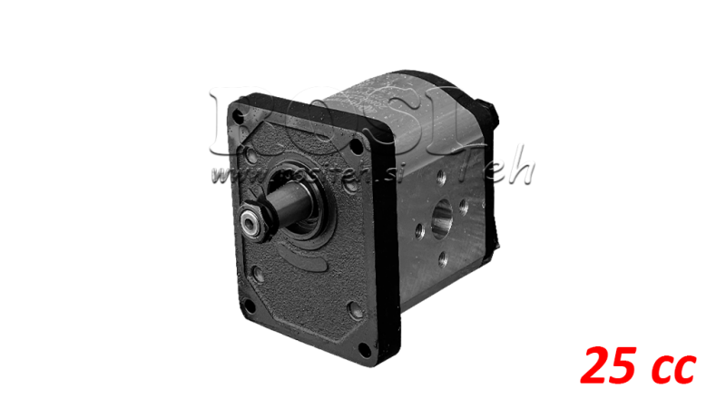 GEAR HYDRAULIC MOTOR (20MR25X546) GR.2 - 25cc